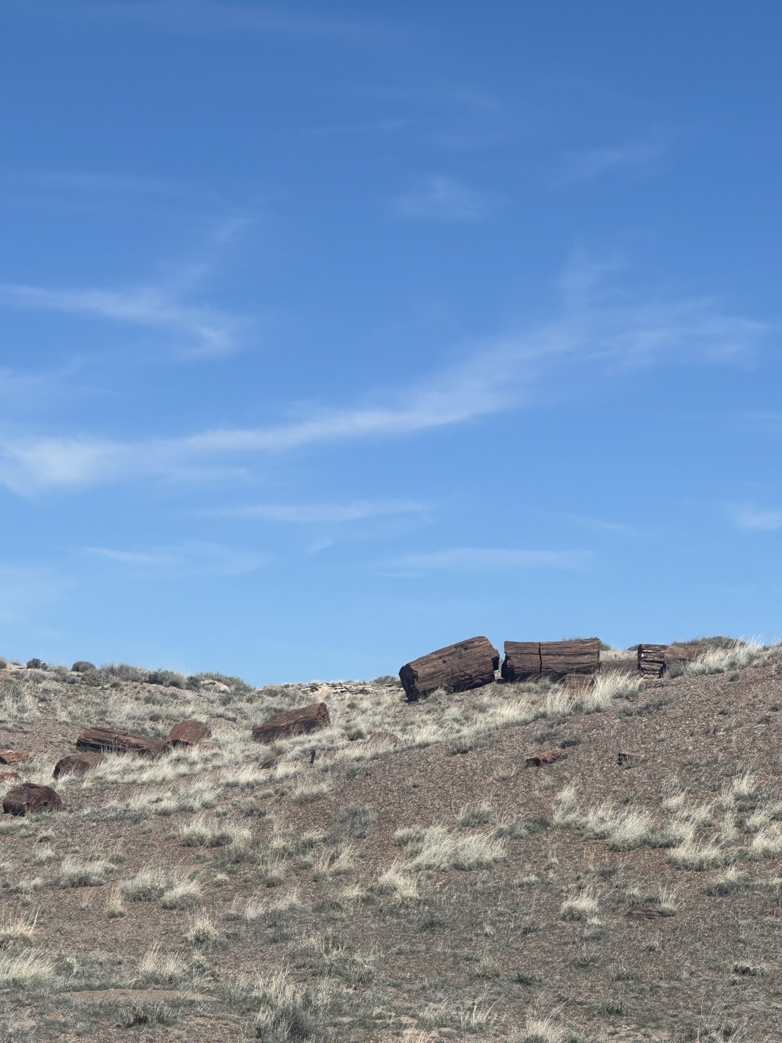 United States-National Parks-Other - Image 746